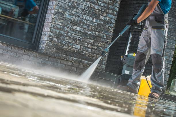 Pre-Holiday Cleaning in Orange Blossom, CA